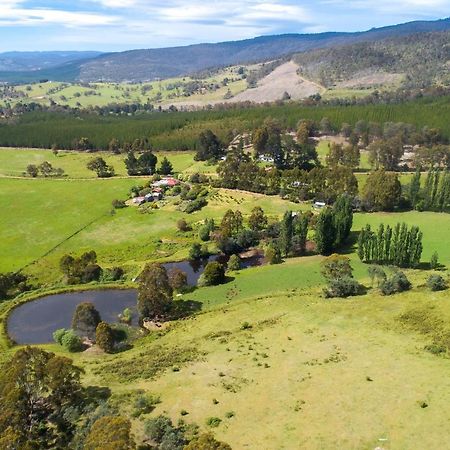 Hamlet Downs Country Accommodation Fentonbury ภายนอก รูปภาพ