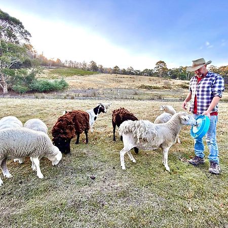 Hamlet Downs Country Accommodation Fentonbury ภายนอก รูปภาพ