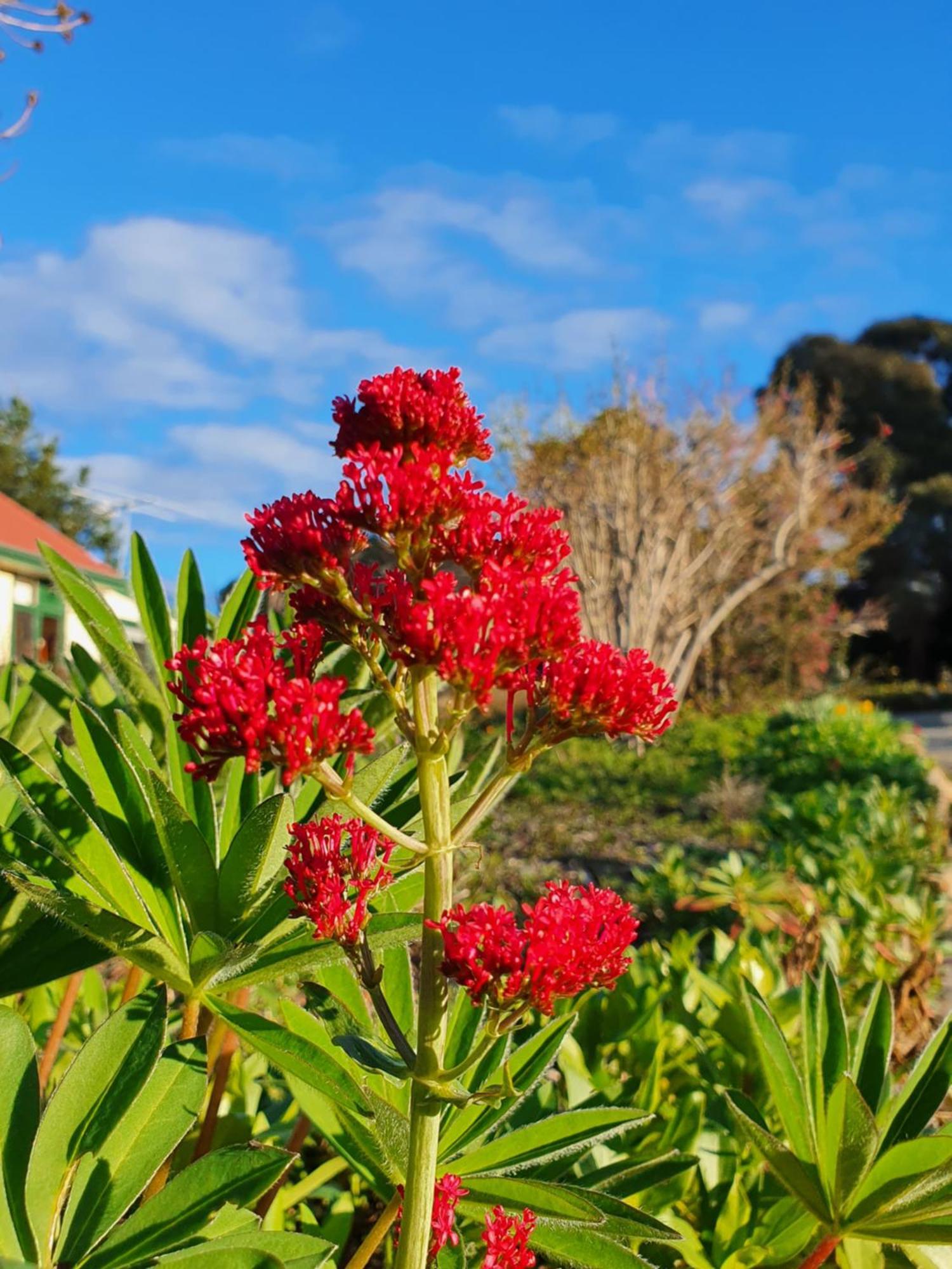 Hamlet Downs Country Accommodation Fentonbury ภายนอก รูปภาพ