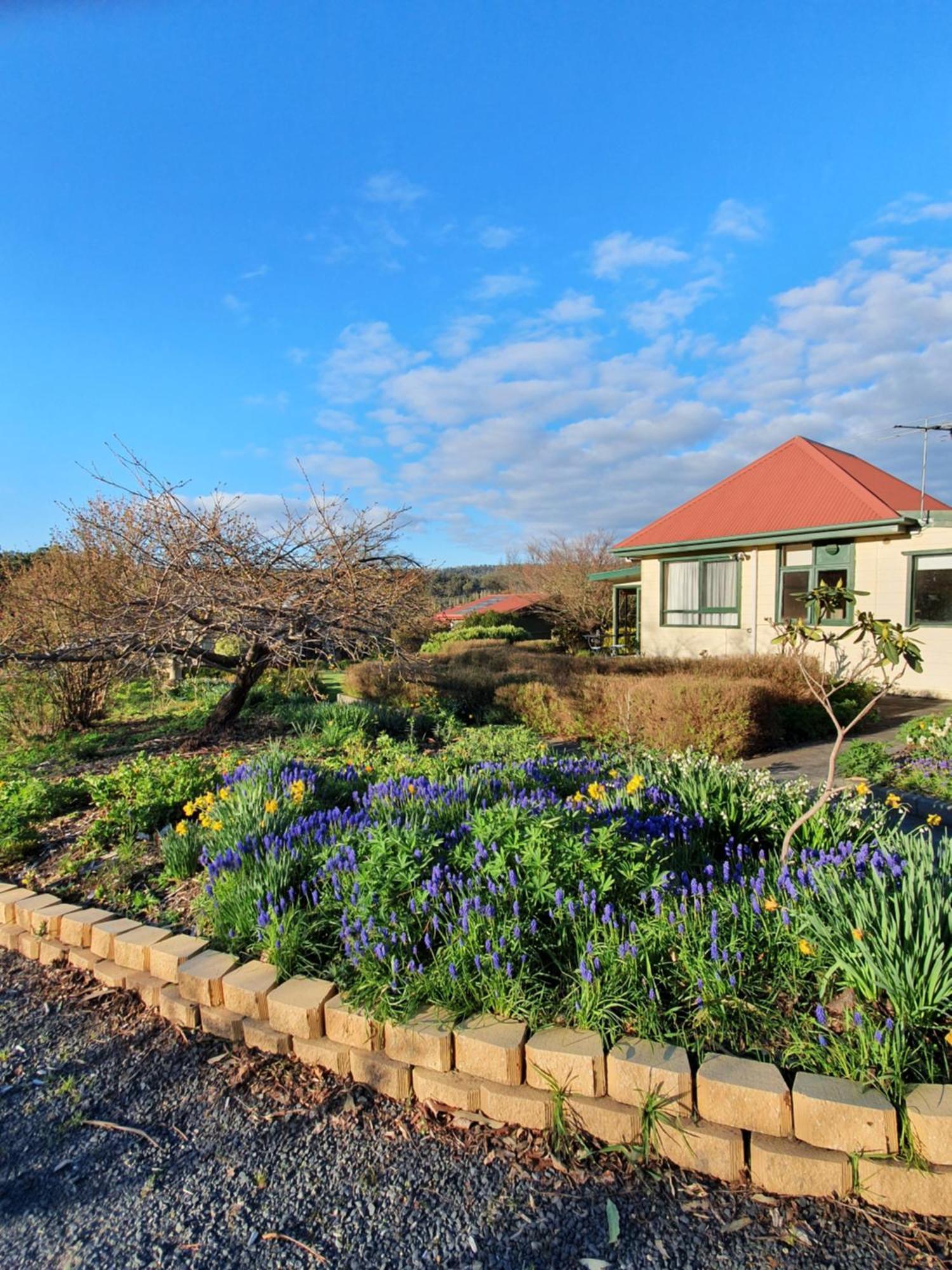 Hamlet Downs Country Accommodation Fentonbury ภายนอก รูปภาพ