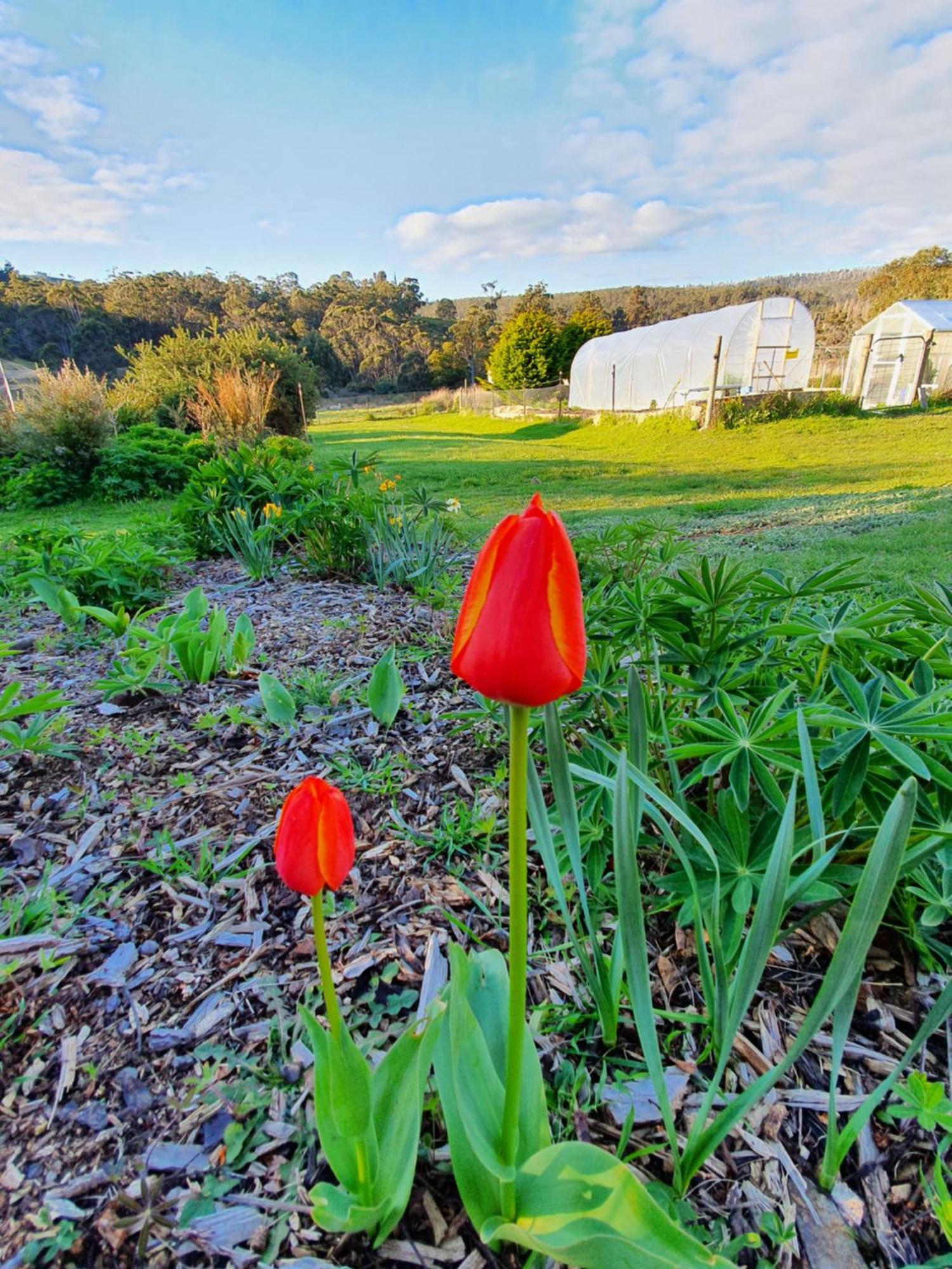 Hamlet Downs Country Accommodation Fentonbury ภายนอก รูปภาพ