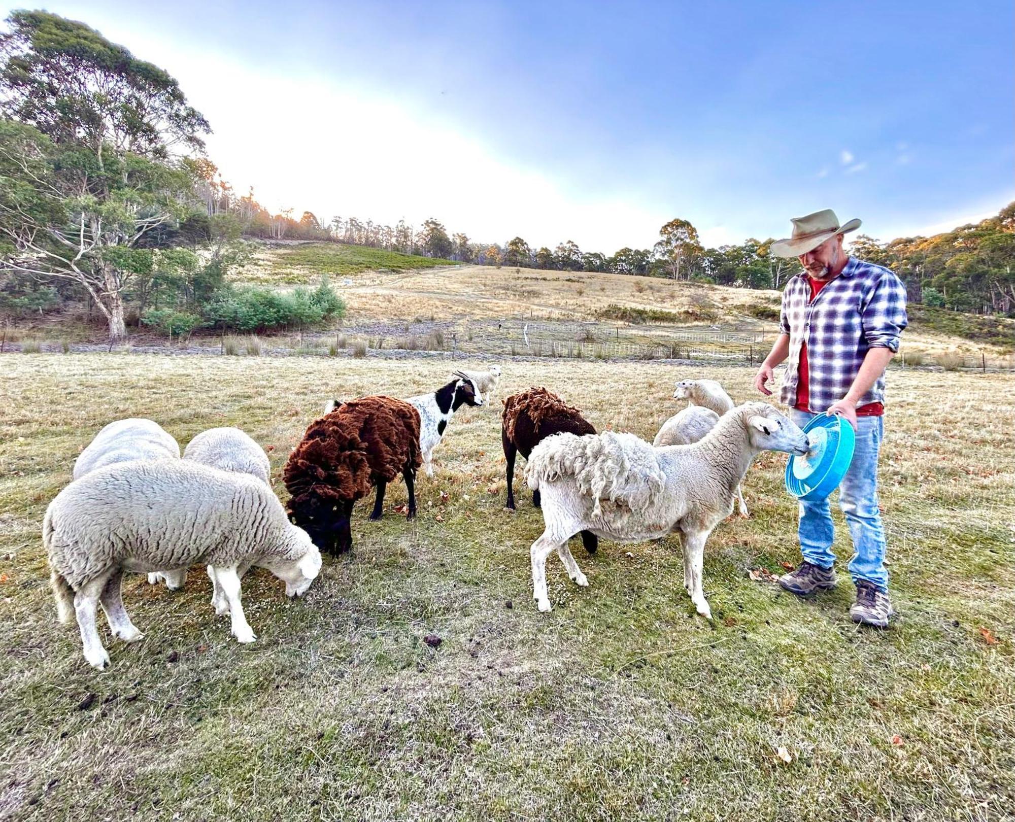 Hamlet Downs Country Accommodation Fentonbury ภายนอก รูปภาพ